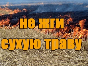 Весенний пал травы: опасность и ответственность